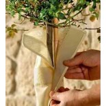 Housse de protection hivernale pour tiges T-hermoplus spécial fruitiers