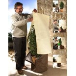 Protection hivernale pour plantes individuelles