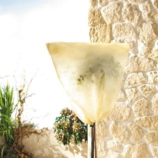 Protection hivernale pour plantes individuelles