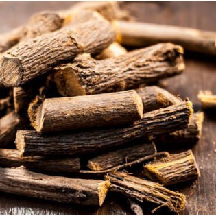 Glycyrrhiza glabra (réglisse)