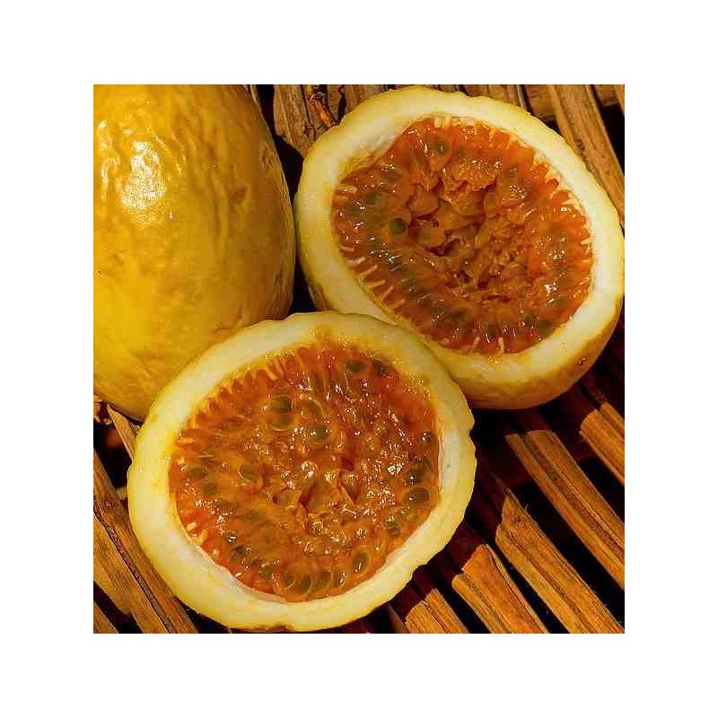 Passiflora edulis var. flavicarpa (Fruit de la passion (Grenadille jaune))
