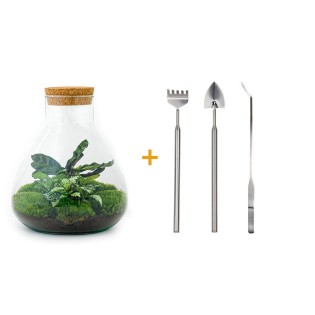 Urbanjngl Diy Terrarium - Sammie - ? 26 Cm