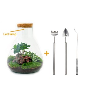 Urbanjngl Diy Terrarium - Sam With Light - ? 30 Cm