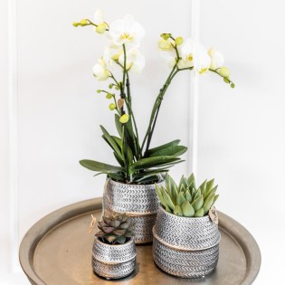 Kolibri Home | Groove Flowerpot - Golden Ceramic Ornamental Pot