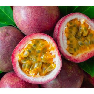 Passiflora edulis var. red fruit rouge (Fruit de la passion (Grenadille jaune)