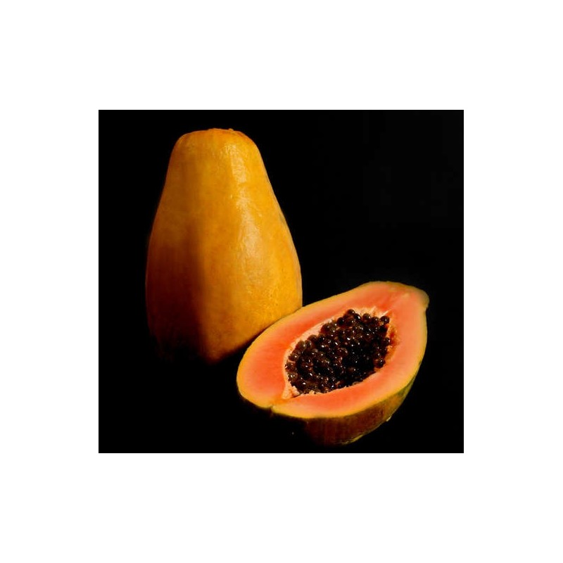 Papayer : Carica papaya var. Siluet (pulpe rouge)