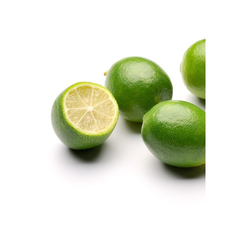 Citrus floridana (Hybride entre citron vert et kumquat)