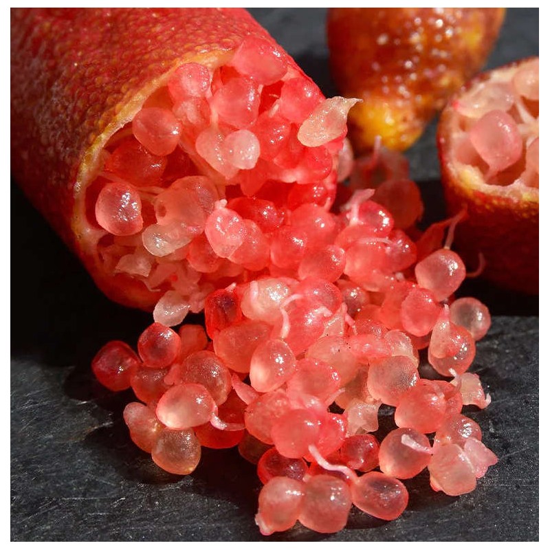 Microcitrus australasica pulpe rouge (Caviar de citron)