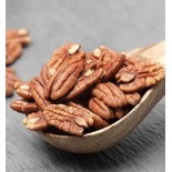 Carya illinoinensis (noix de Pecan, pacanier)