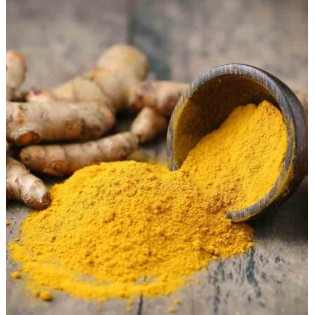 Curcuma longa curcuma