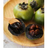 Diospyros digyna (black sapote)