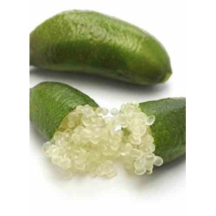 Microcitrus australasica (Caviar de citron)