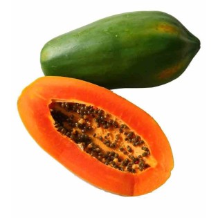 Papayer : Carica papaya var. Passion Red