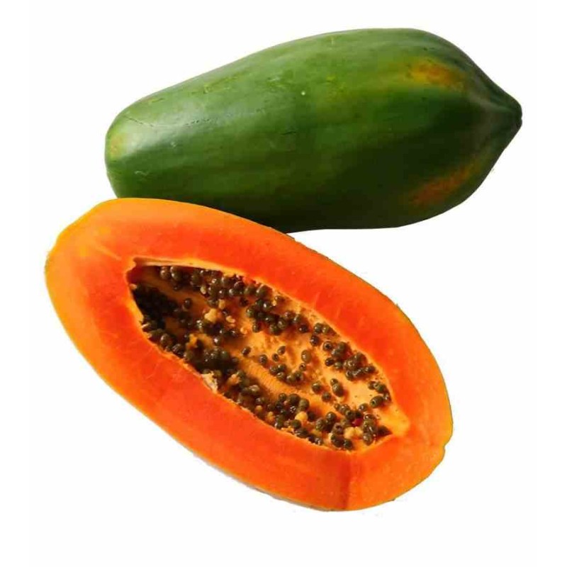 Papayer : Carica papaya var. Rouge Passion
