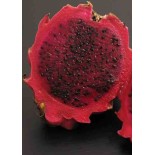Pitaya : Hylocereus H. purpusii(Pitaya ou fruit du dragon)