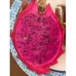 Pitaya : Hylocereus Halley Comet(Pitaya ou fruit du dragon)