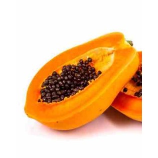 Papayer : Carica papaya var. Caballero